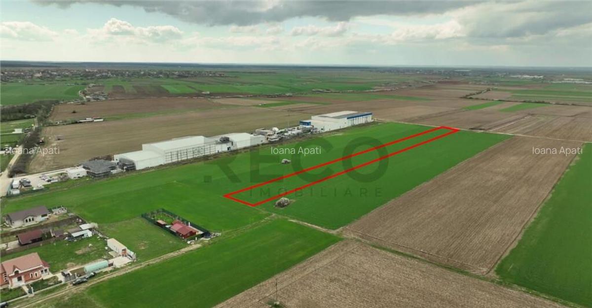 Teren pentru parcelat in Apateu - 4