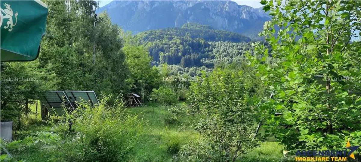In cartea de povesti a Pietrei Craiului, ansamblu turistic functional, in Plaiul Foii - 14