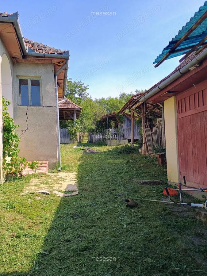 Casa + bucatarie de vara+gradina - 4