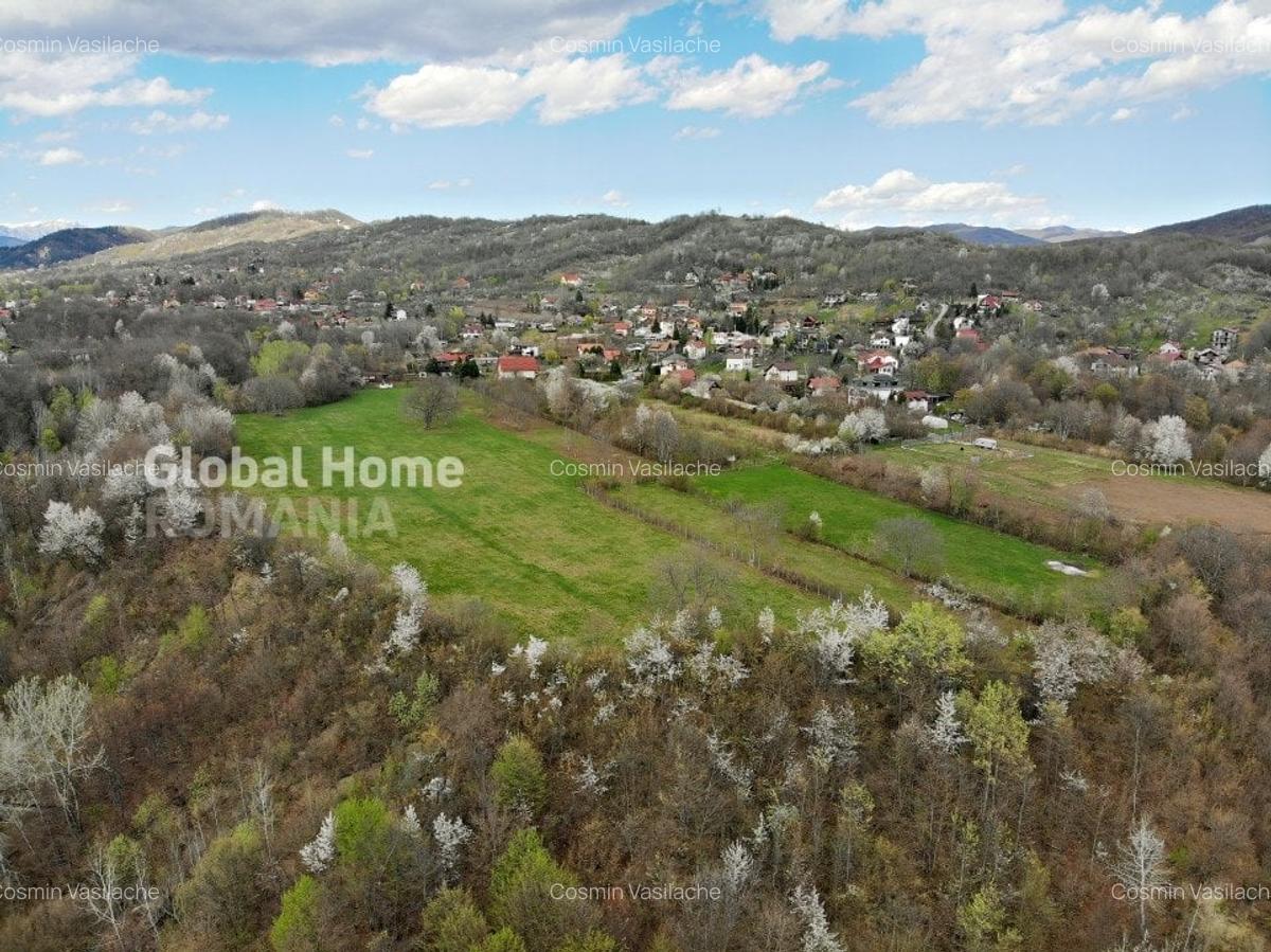Mountain Plateau - 23.345 SQM - Exclusive Estate | Jud Prahova - Valea Prahovei - 8