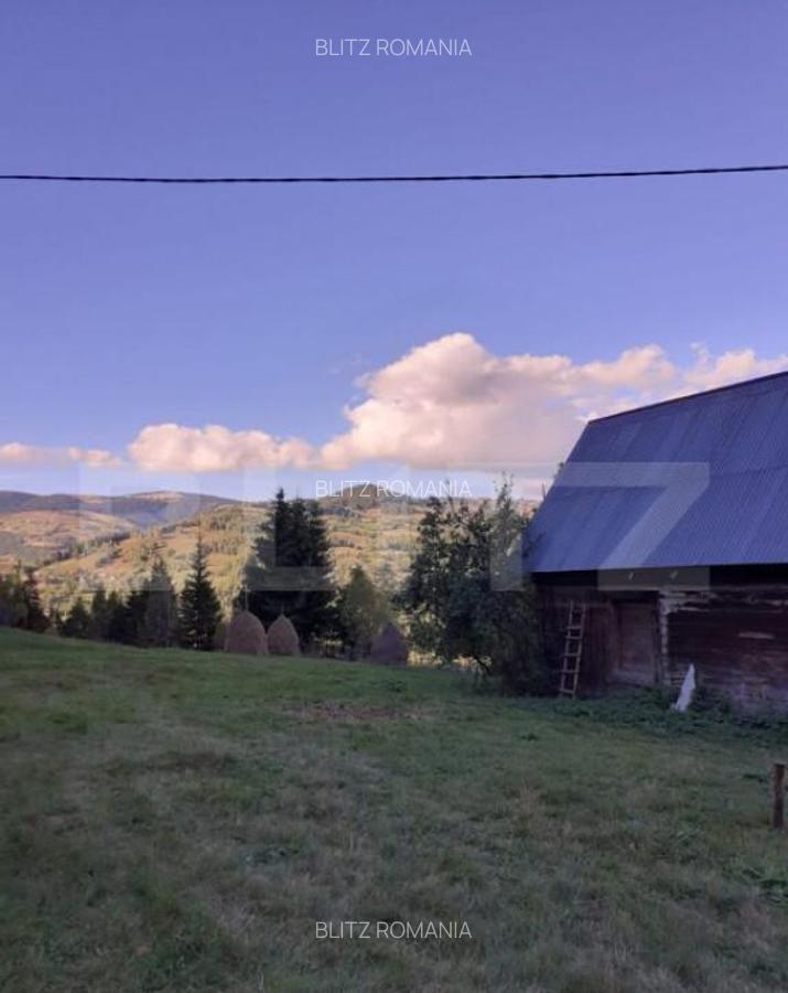 Casa la munte, cu teren 13383 mp, zona Horea - Apuseni - 4