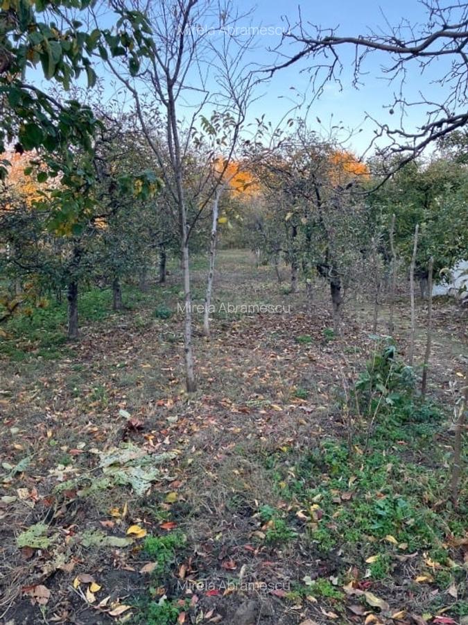 Proprietate completă în inima Dâmboviței – Casă, curte și livadă pe 1800 mp - 5