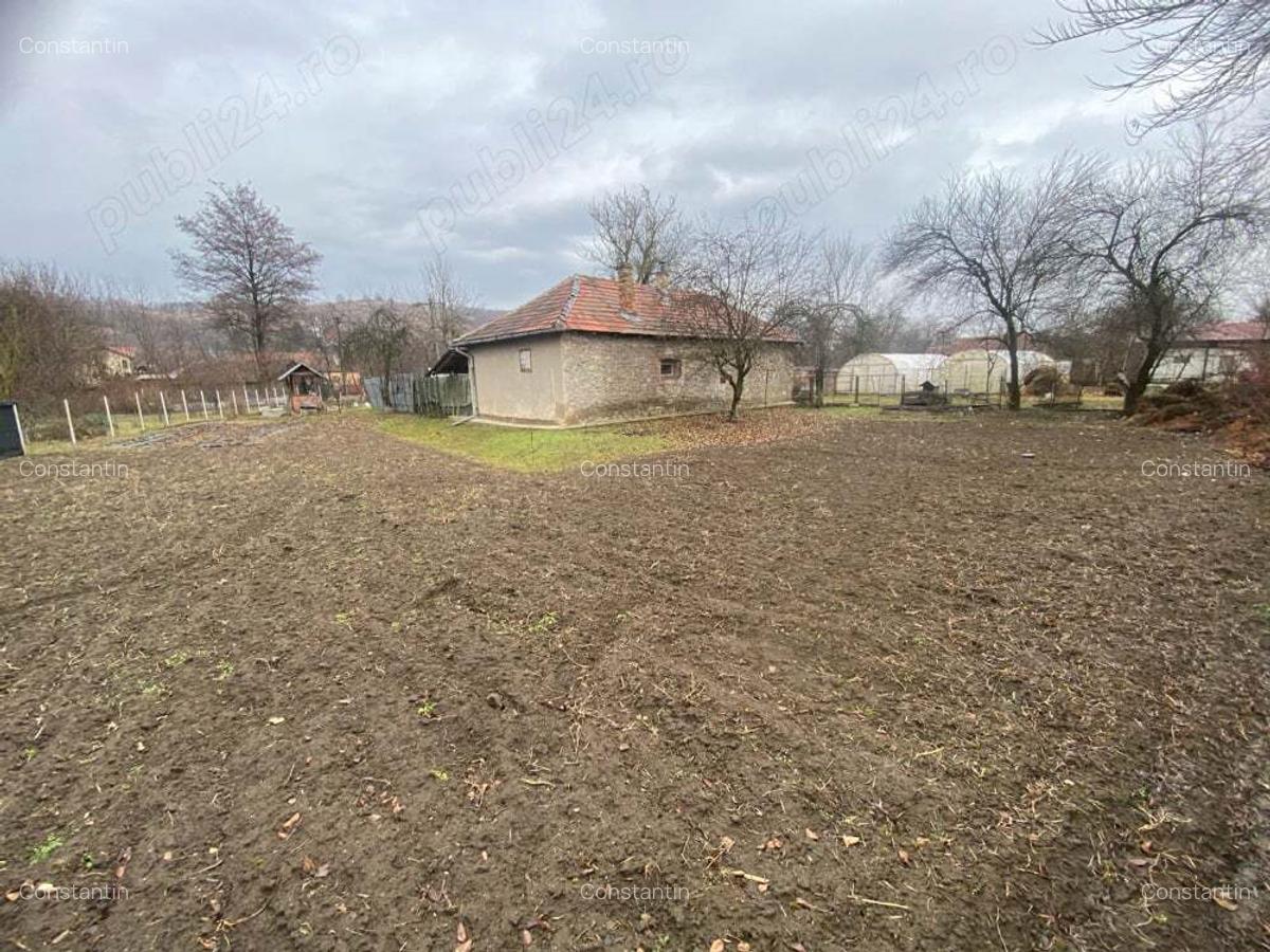 Vand casa in Pestisu Mic - 9