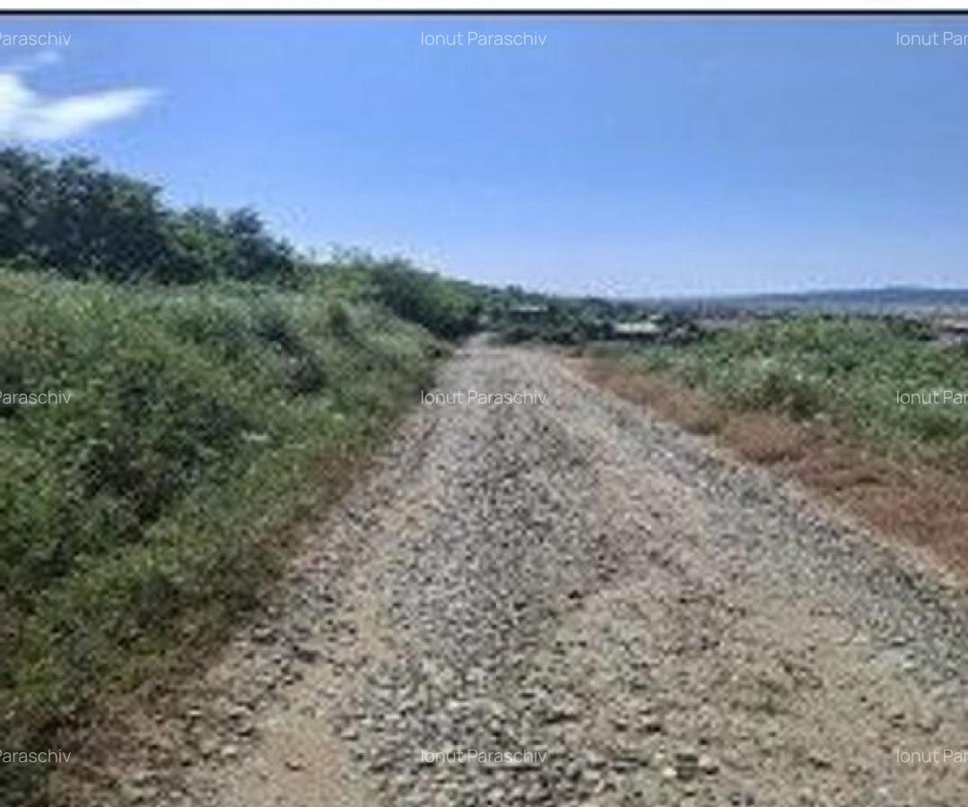 Teren Balteni, cota parte 1/4, ID: R2695268 - 2