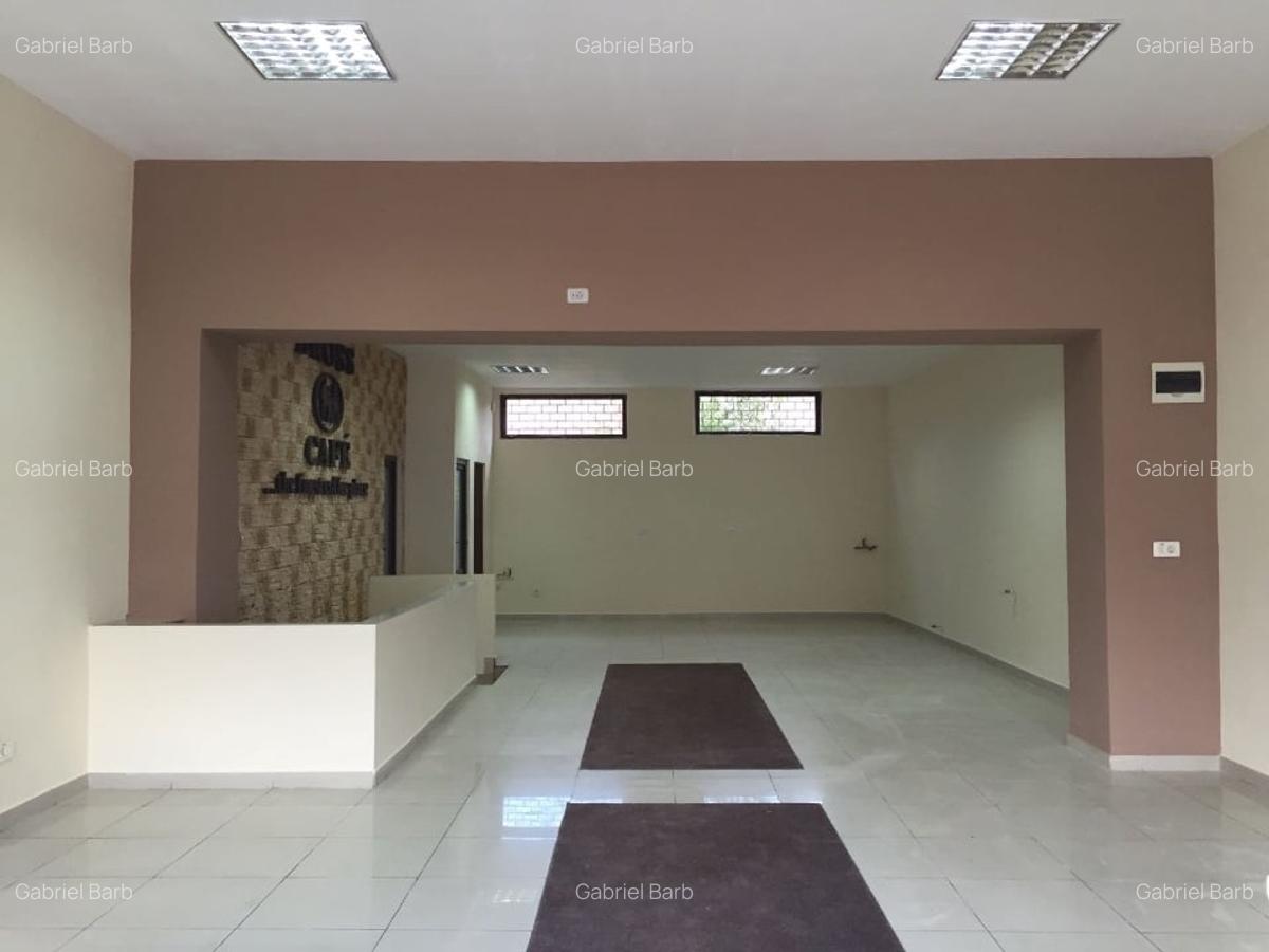 Spatiu comercial 150 m2 , ultracentral de inchiriat - 5