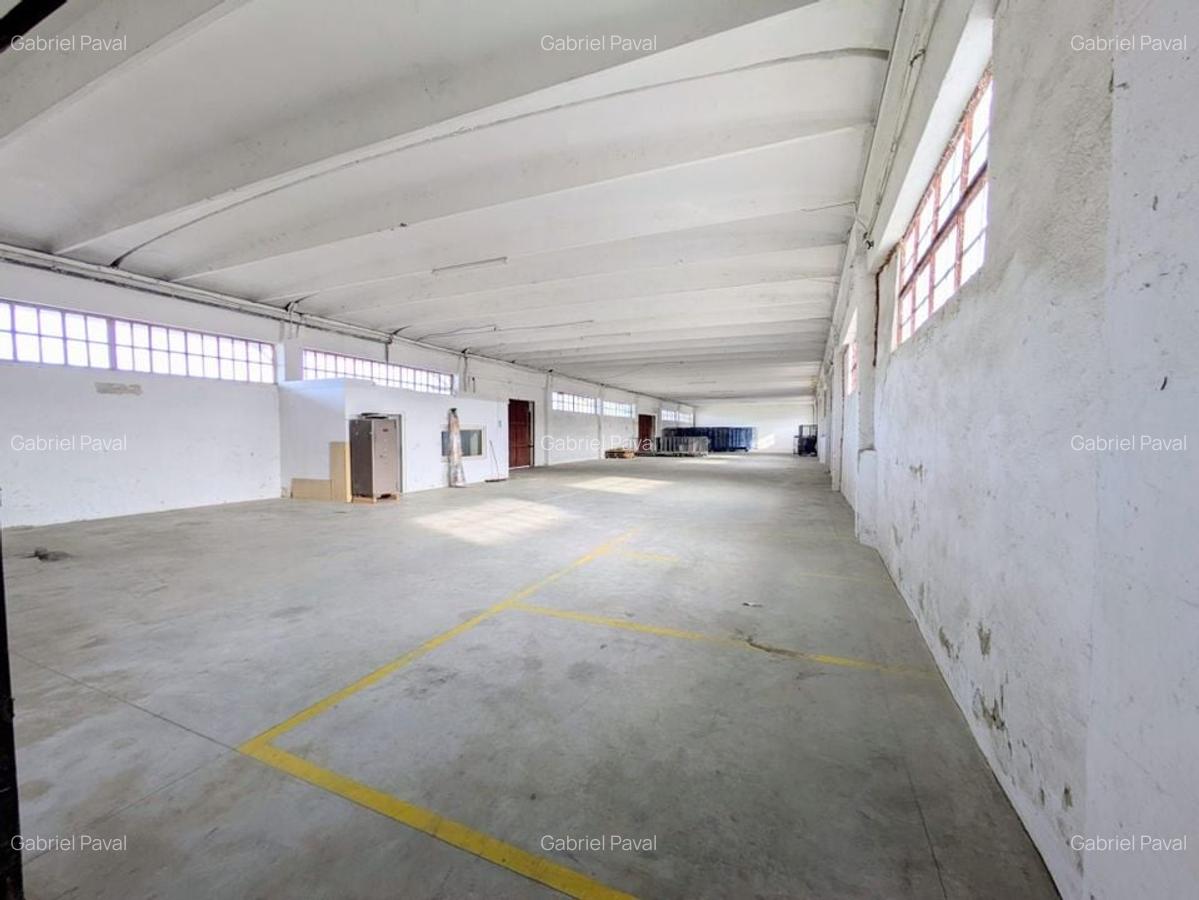 Hala + Platforma betonata - Zona de sud - Comision 0% - 4