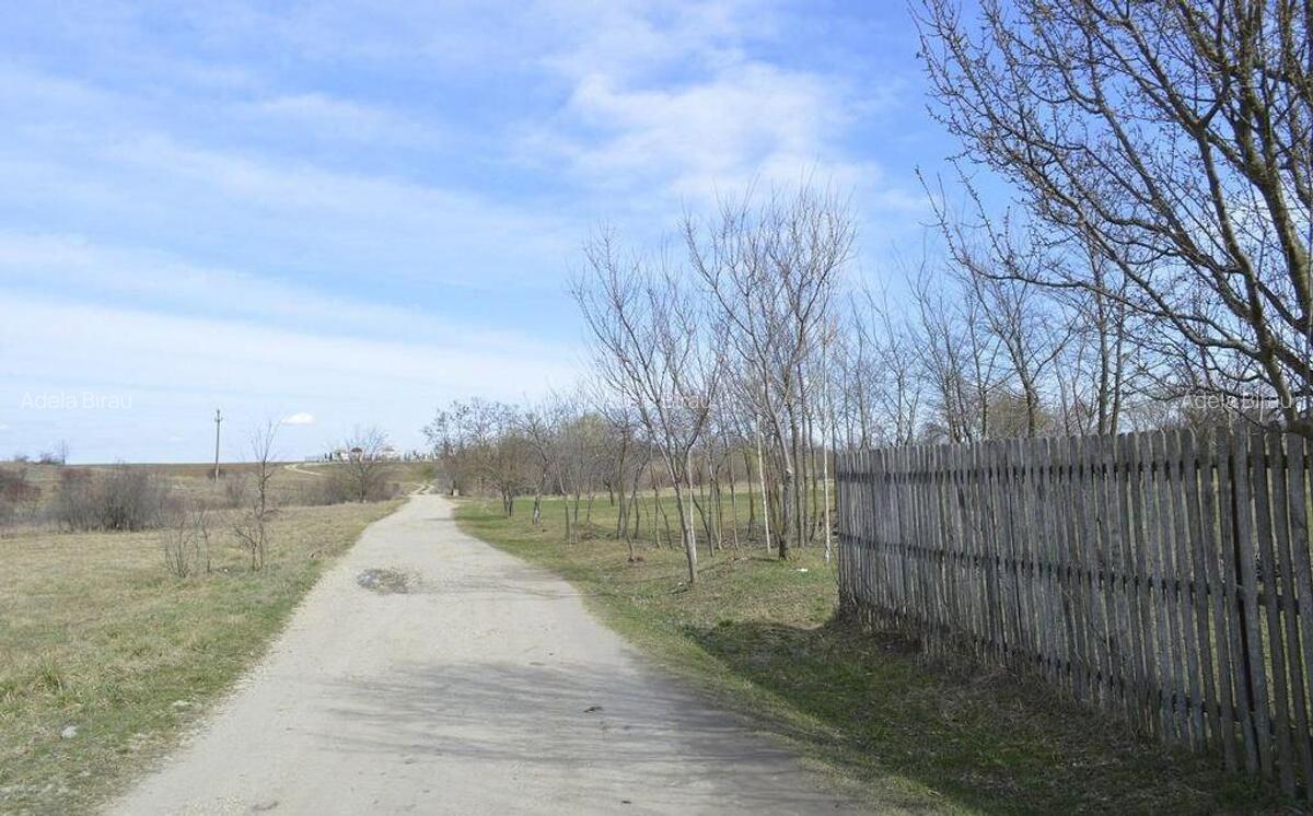 Suseni - Teren intravilan rezidential, suprafata 4000 mp - 14