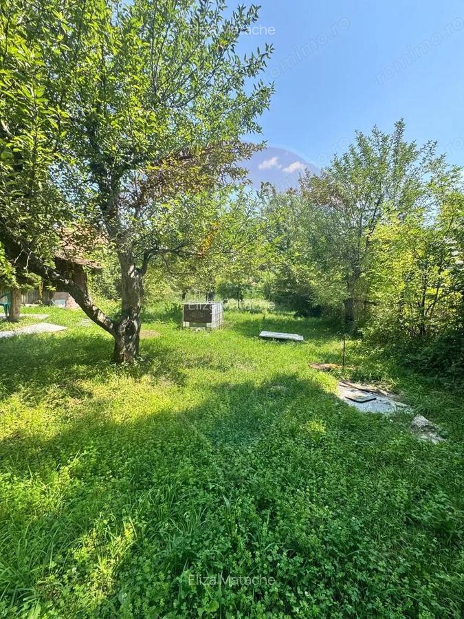 Casa boiereasca cu istorie, teren generos ?i ie?ire la Raul Targului - 15