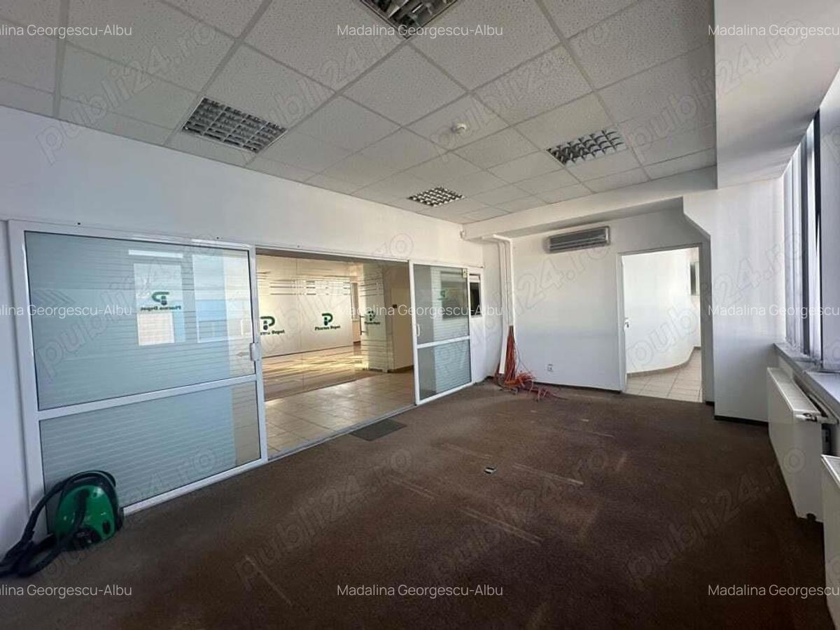 Theodor Pallady stradal birou 410 mp utili LIBER - 11