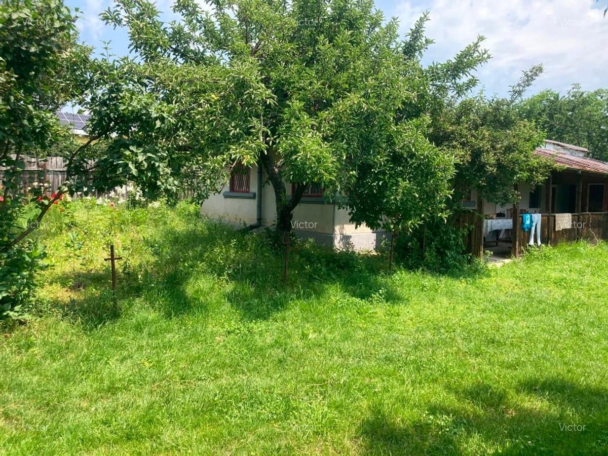 Vând teren intravilan cu casă locuibilă, Butimanu, Dâmbovița – 3.900 m² - 2
