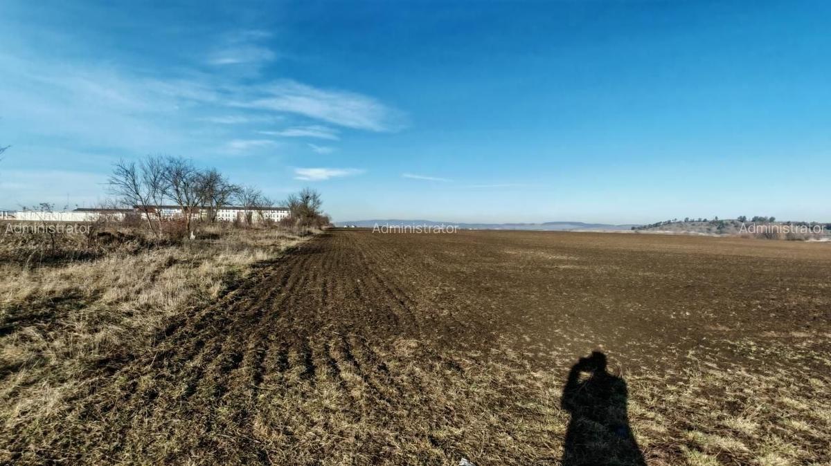 Teren intravilan,428 mp,SANPETRU iesirea spre BOD, utilitati. - 2