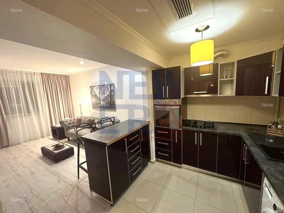 Apartament 2 camere cu loc de parcare de inchiriat RIN Grand Residence - 3