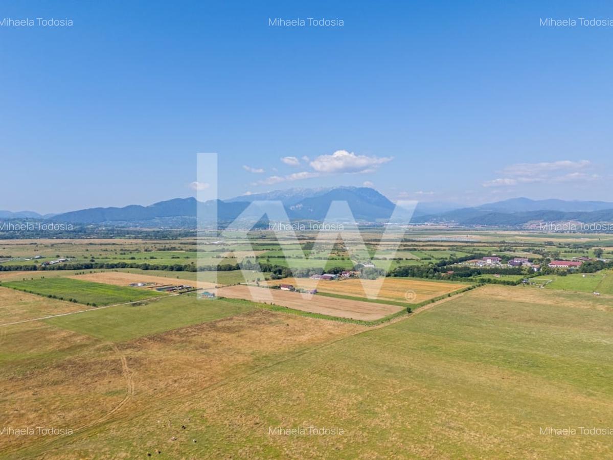 Teren : 2.000 mp in Glajerie, Rasnov, parcelat - comision 0% pentru cumparator! - 8