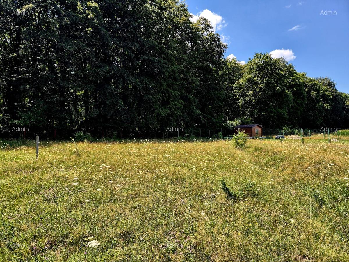 Comision 0 %, teren intravilan Sambata de Sus, ideal cabana weekend - 3 Comision 0 %, teren intravilan Sambata de Sus, ideal cabana weekend - 3