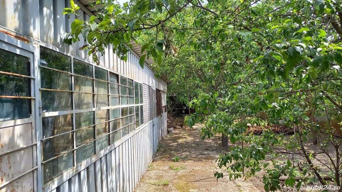 Casa Poienarii Burchii - 6