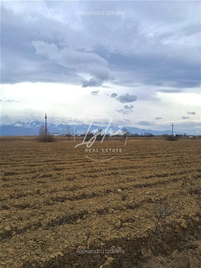 Teren extravilan Avrig - 2