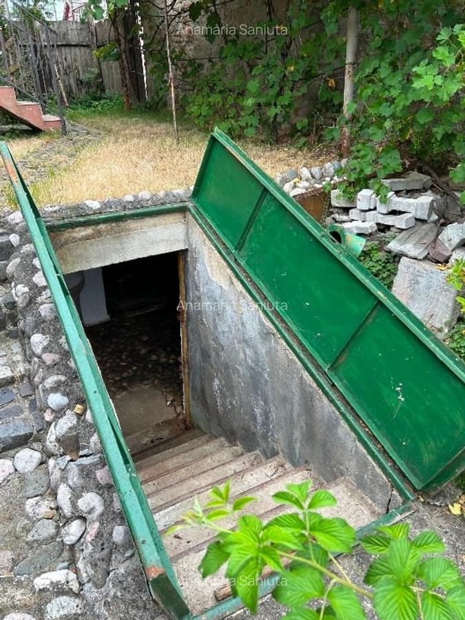 Proprietate specială, 280 mp în Dumbrăvița - 15