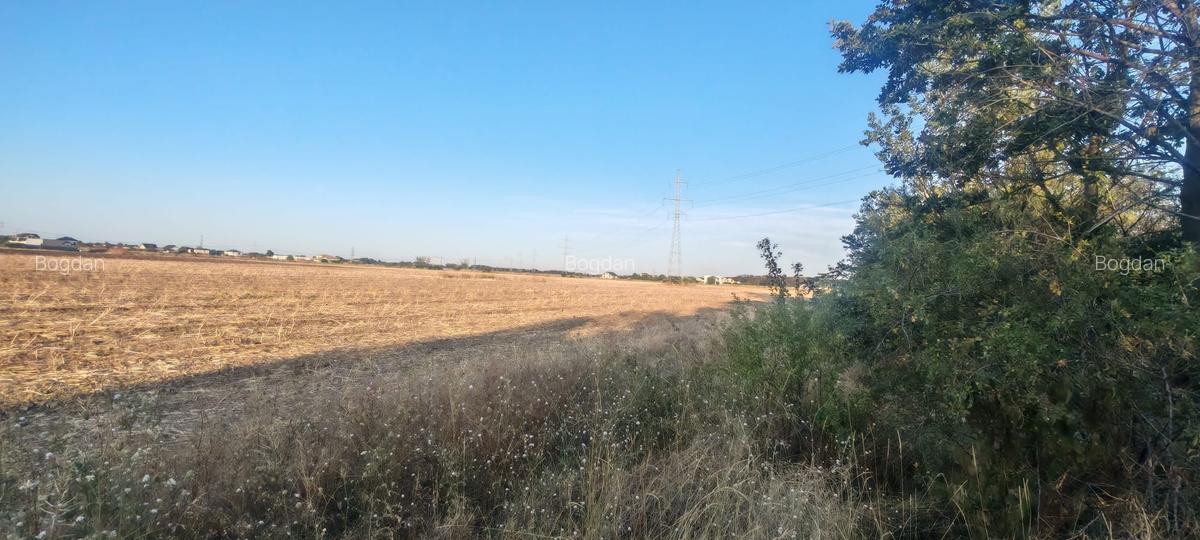 Teren Intravilan Cornetu - 3