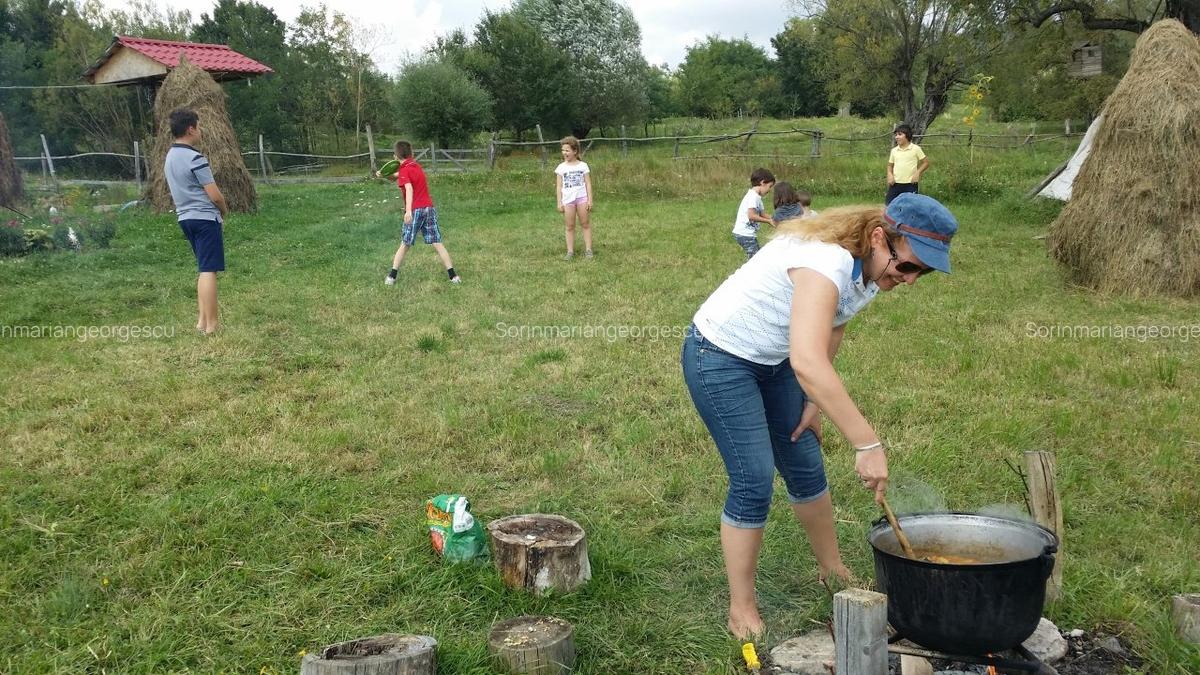 Teren Vanzare cu utilitati si acoperis - Optional rulota functionala - 10