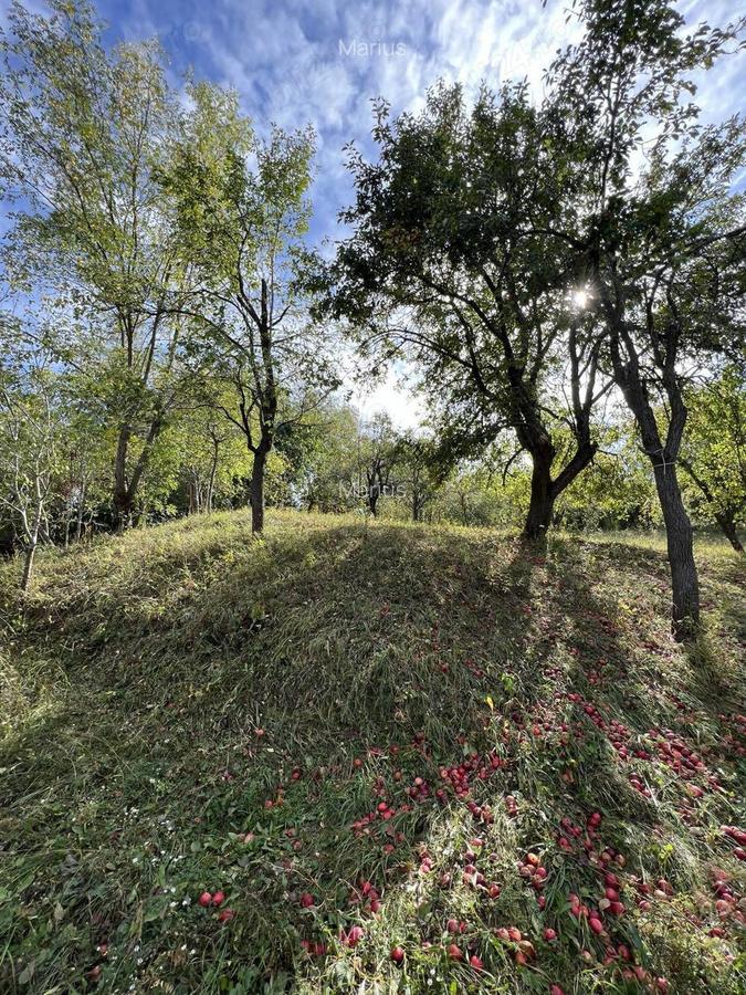 Casa de vacanta pe deal, D+P+M cu 8400 mp, teren - 8