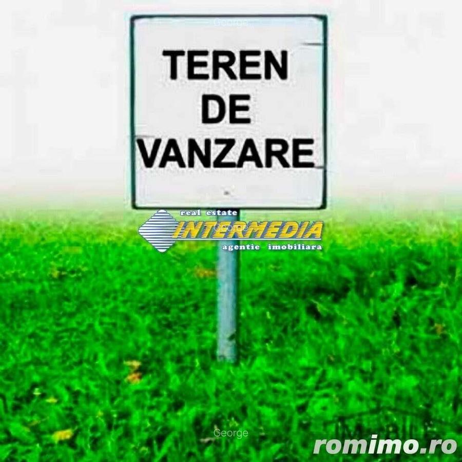 Teren Intravilan 600 mp. de vanzare Alba Micesti parcele diverse - 2