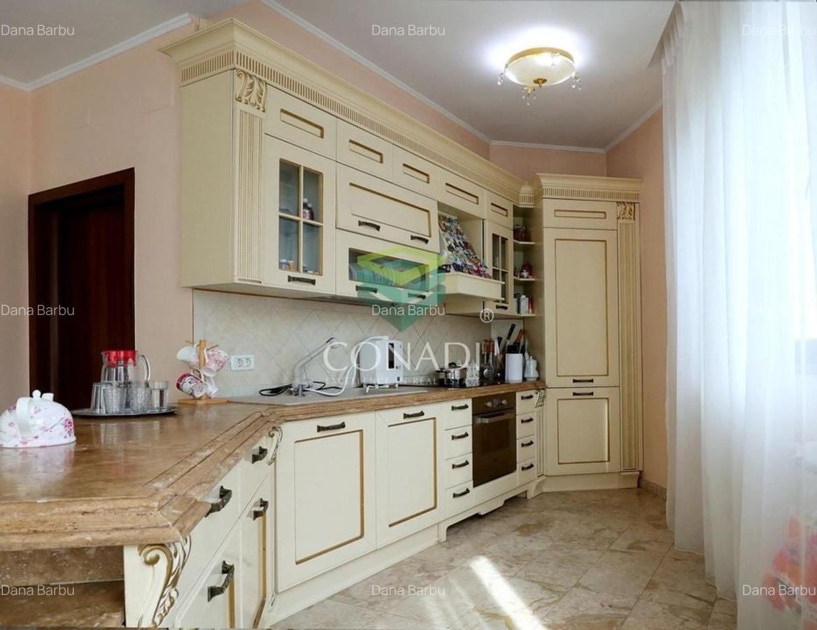 Iancu Nicolae, vila cu 5 camere de inchiriat, 291 mp utili - 7
