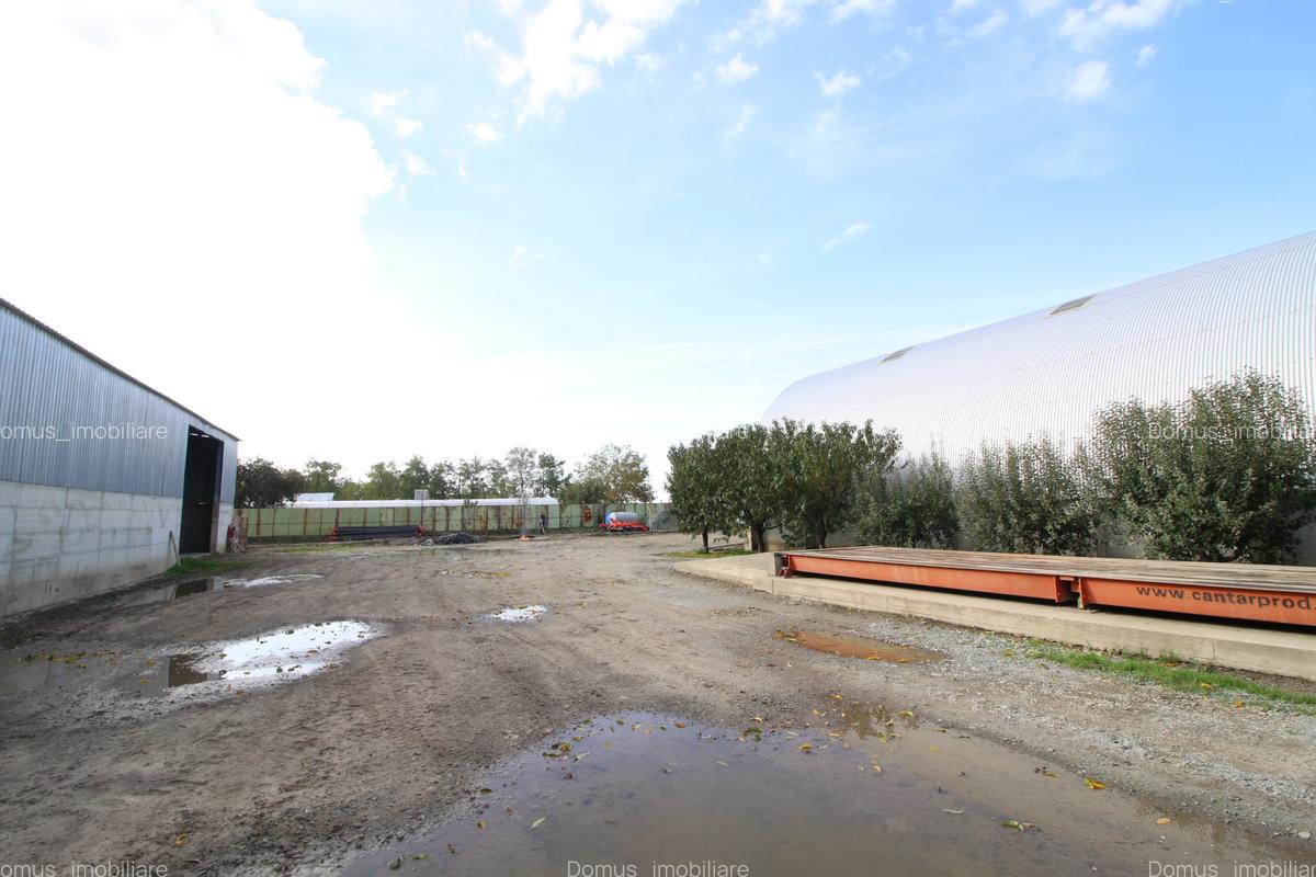 Baza de cereale in functiune , 4500 mp intravilan + 2 depozite (aprox 1000mp) - 6