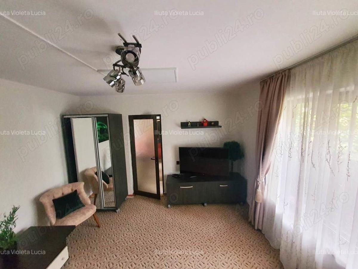 Casa de vacanta sau investitie - 8