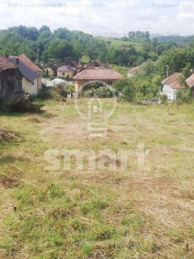 Teren intravilan cu CF 5400mp front 17 Savadisla jud Cluj - 4