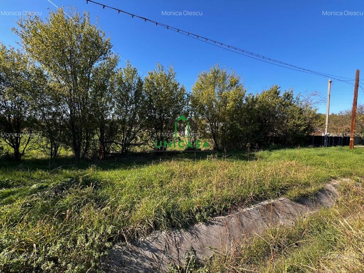 Teren intravilan/Str Balciului/Copacelu - 3