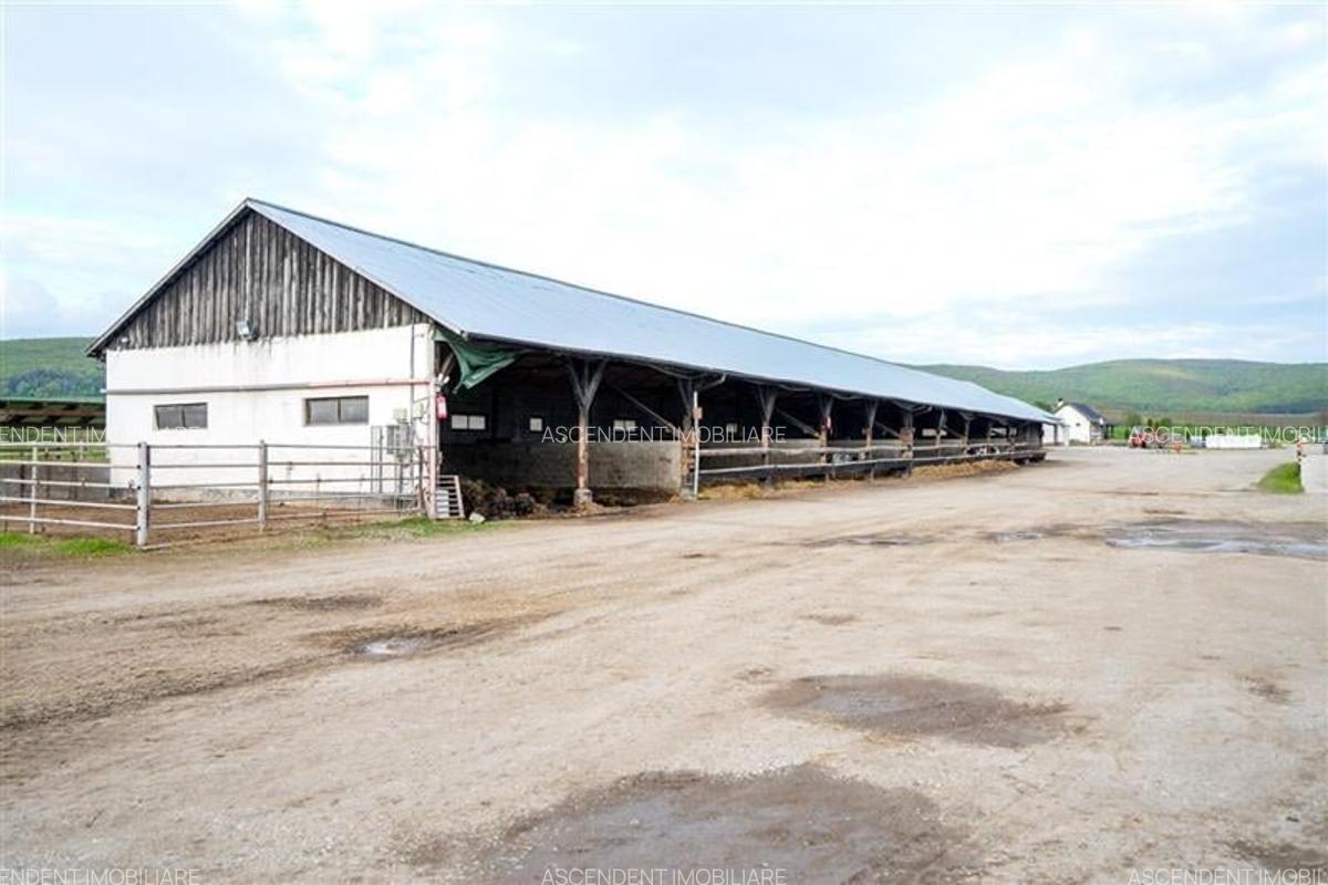 Teren Construcții intravilan de 222000 mp, în Exterior Est - 44