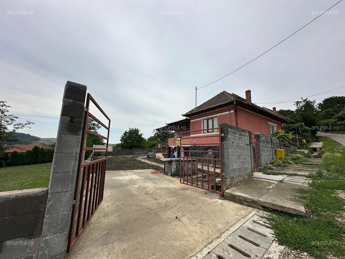 Zau de campie, judetul Mures - 7