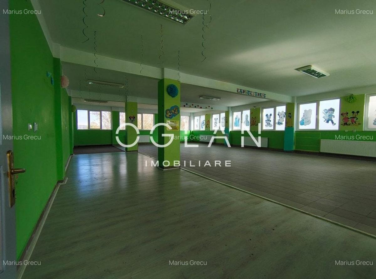 Spatiu comercial 450 mp (P+E)- zona Terezian - 15