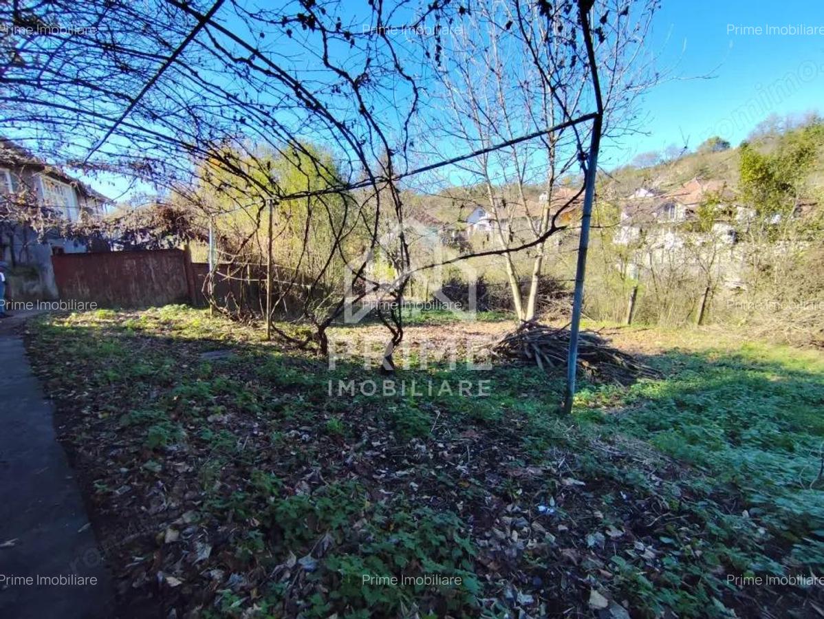 Casa Individuala 3 camere| 769 mp teren| zona Blaj - 10