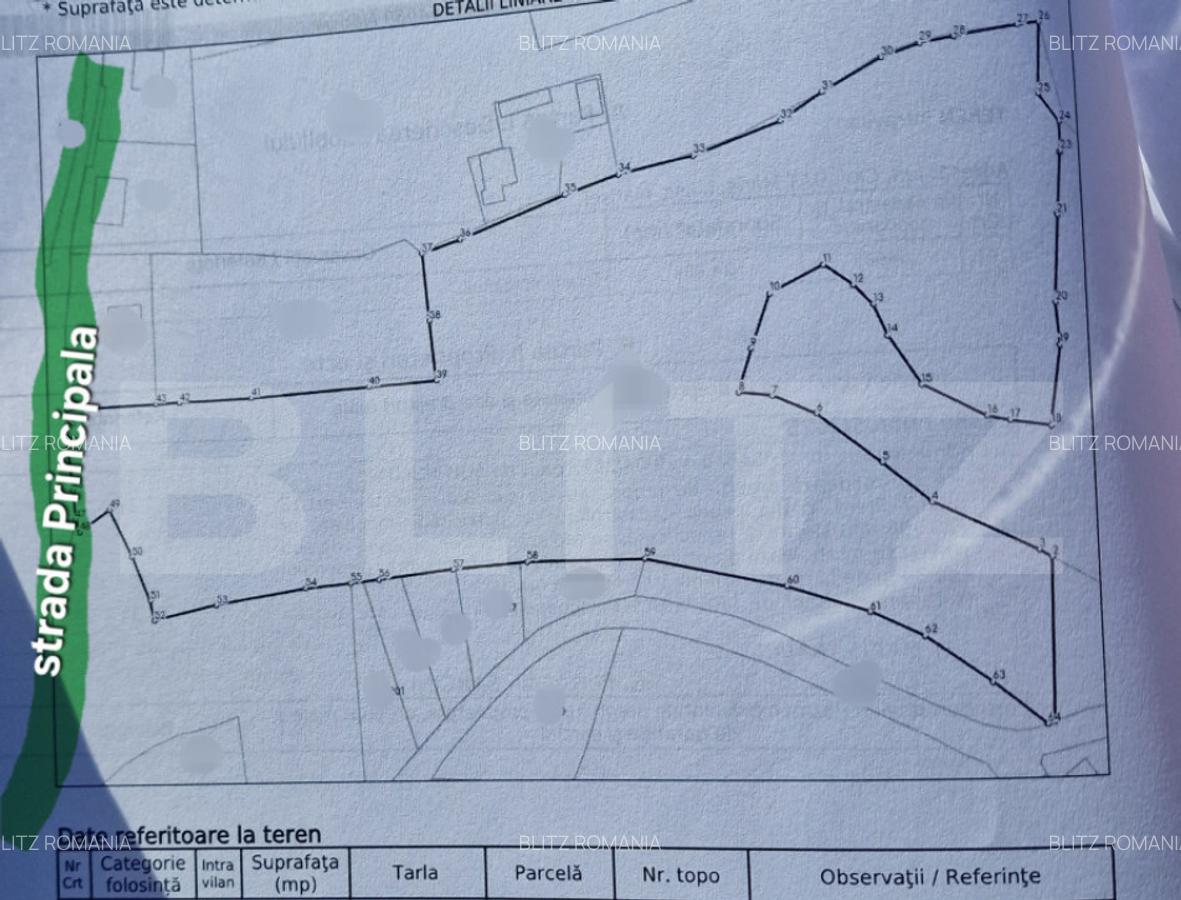 Teren intravilan, 24.888mp, front la strada, utilitati, Mari - 2