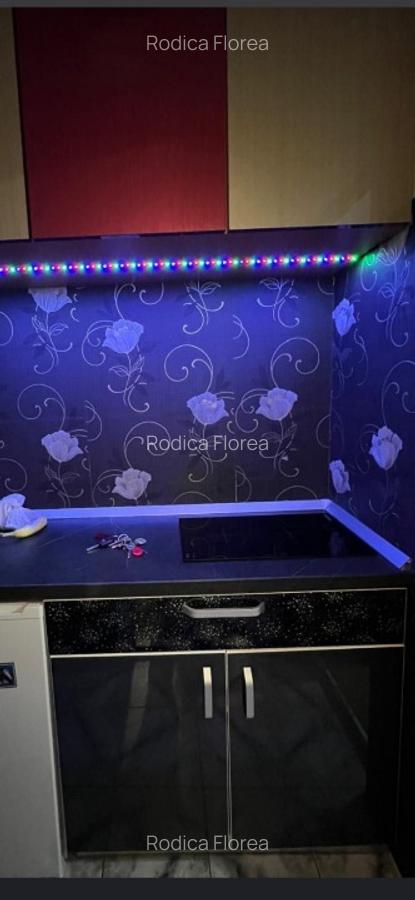 Minigarsoniera toate dotările - zona Vlahuța- Vlah - 4