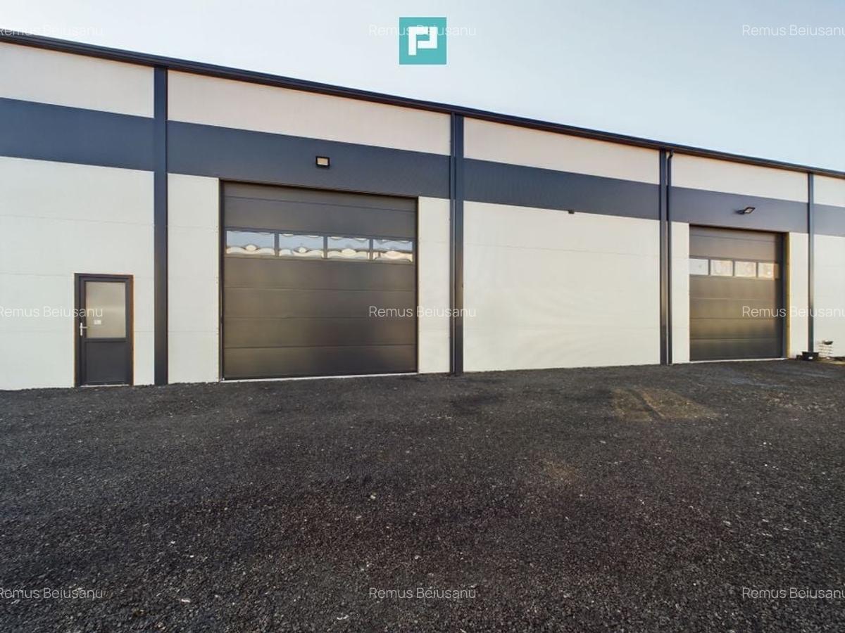 Spațiu industrial, 360 mp în Giarmata - 8