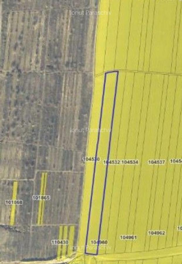 Teren extravilan cota 3/32 Smardan, ID: R2763204 - 6