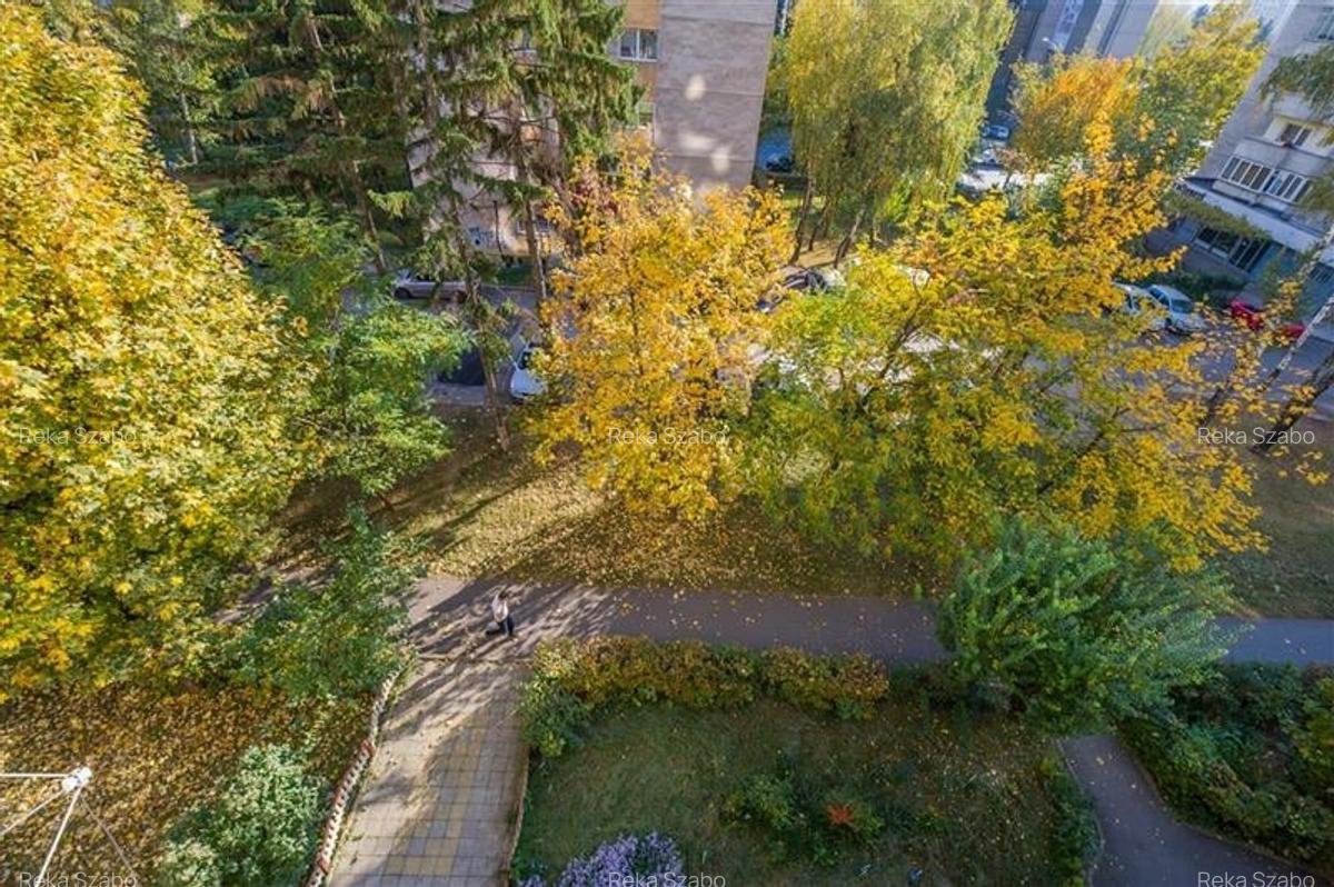 Apartament cu 3 camere semidecomandat, mobilat în Centrul Civic - 9