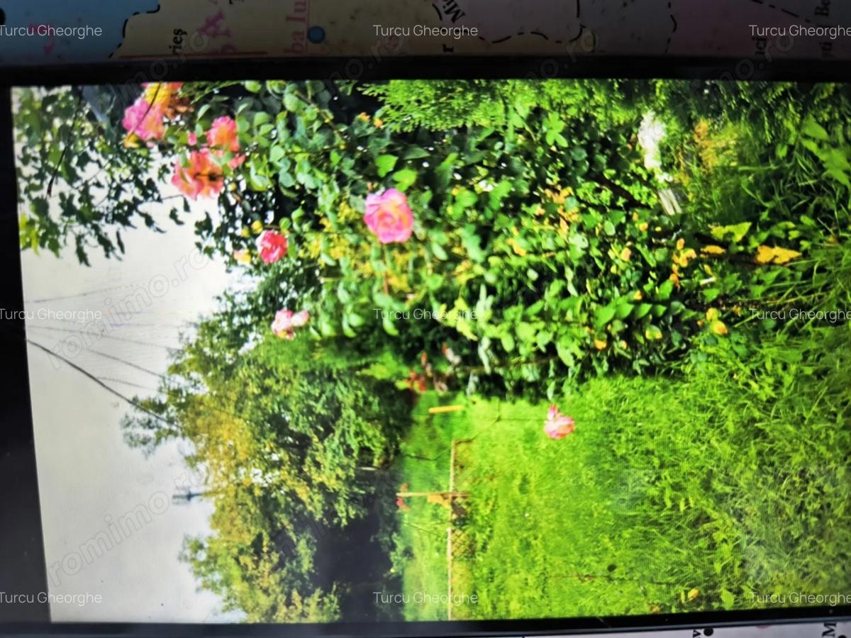 Casa vanzare Sighisoara - 4