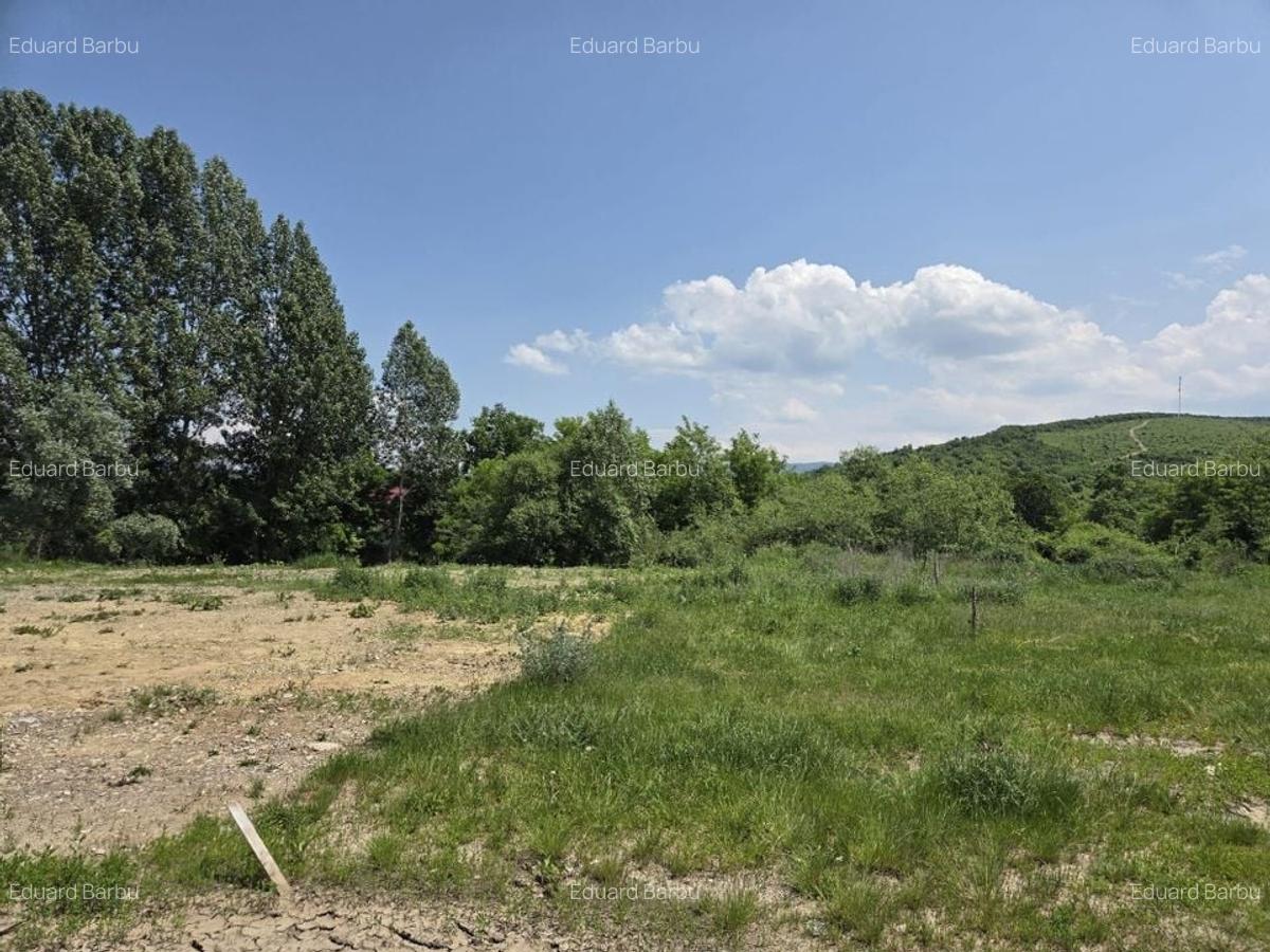 Teren de vânzare - 1.000 mp - Tărlungeni, zonă în dezvoltare - 4