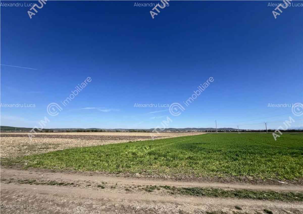 Teren intravilan de 16130 mp situat in Sibiu zona Calea Suri - 2