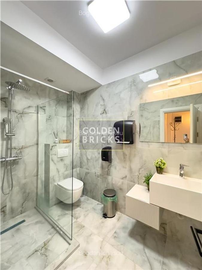 Parcul Circului | Vila individuala | 6 camere | Metrou 8 minute - 22