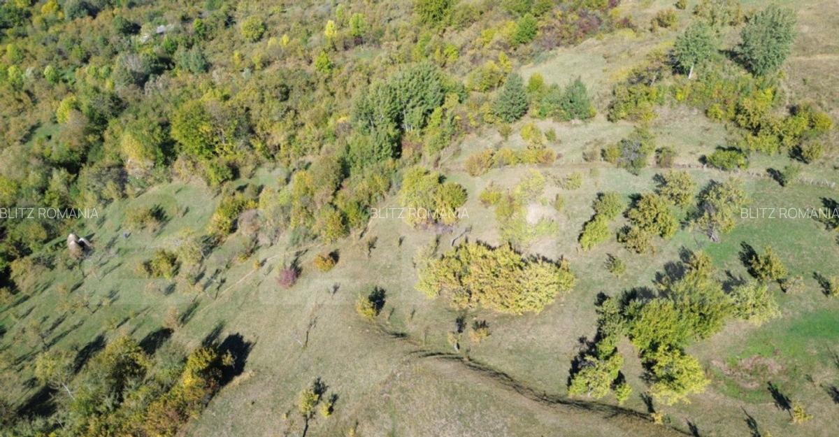 Teren extravilan, 41.631,00 mp, zona Pietrosita - 2
