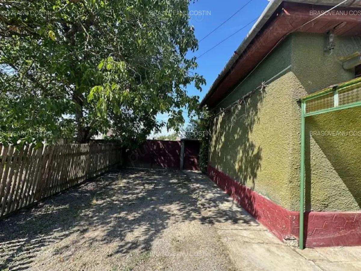 Casa cu teren de 6060 mp | LOC. BICACI | BIHOR - 7