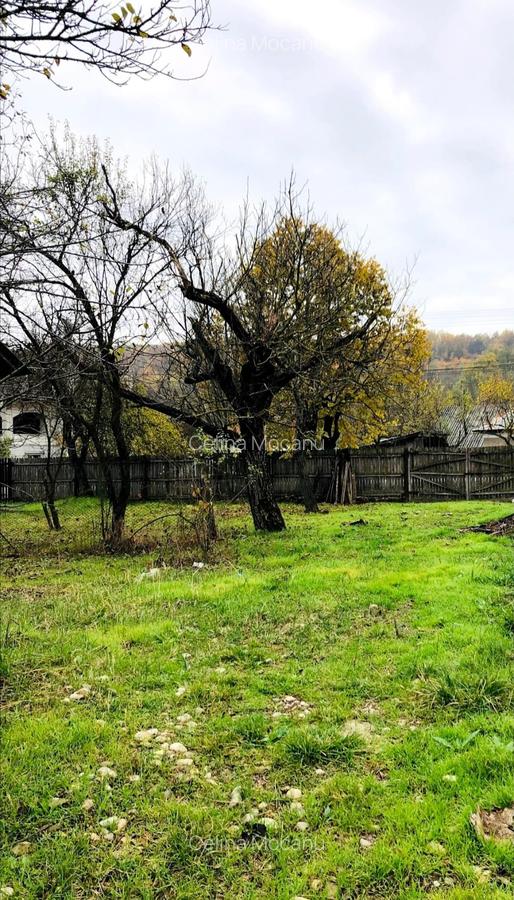 Teren intravilan 1570 mp in sat Magura (Hulubesti), Dambovita, deschidere 31ml - 5