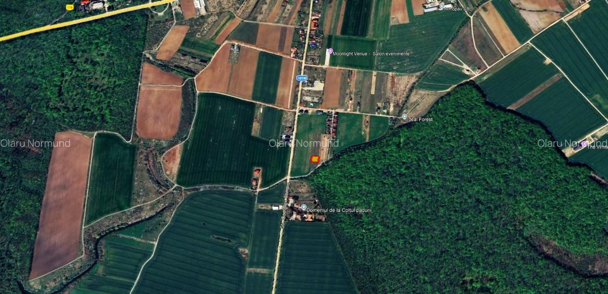 TEREN 500mp | langa Padurea Snagov | IZVORANI | LOCATIE DE VIS - 2