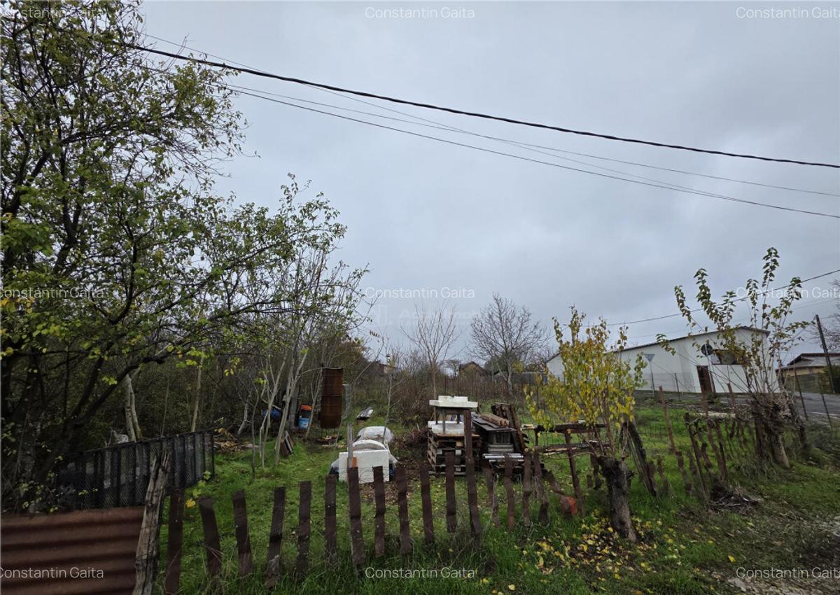 Teren Branesti - Str Oltului - 1600 mp - deschidere 16 ml - - 5