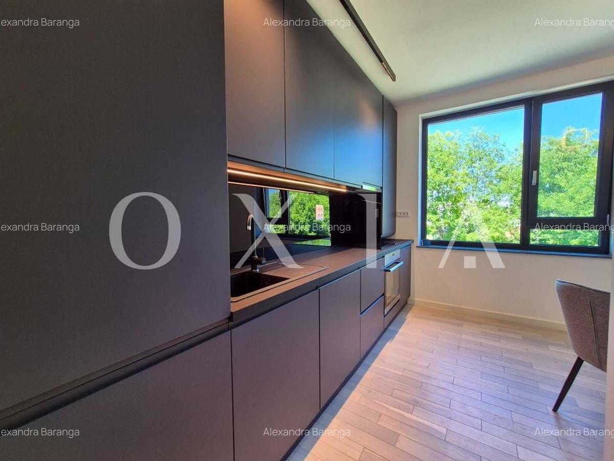 AX1068 Dumbravita, Bulevardul Petre Tutea, Prima Inchiriere - 3