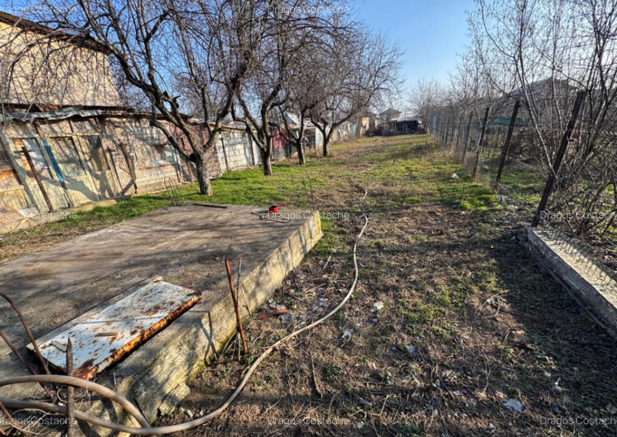 Domne?ti, central, casa pe parter, 167 mp construi?i, 1100 - 12